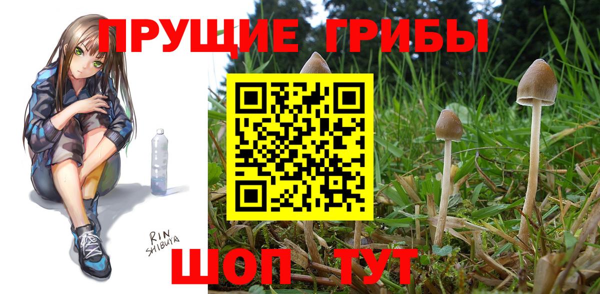 Галлюциногенные грибы Magic Shrooms Нижний Новгород
