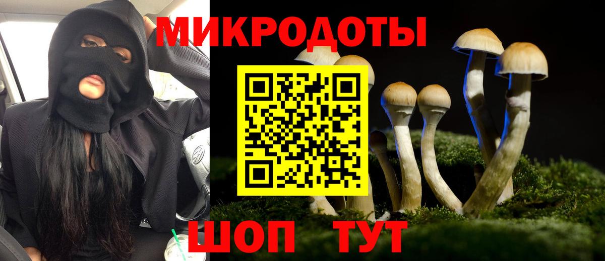 Галлюциногенные грибы Psilocybe  Галлюциногенные грибы Psilocybe  Вход с VPN  Нижний Новгород 