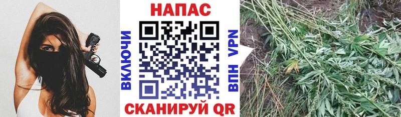 Бошки Шишки марихуана  сколько стоит  Нижний Новгород 